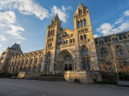 Natural History Museum