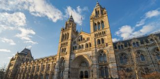 Natural History Museum