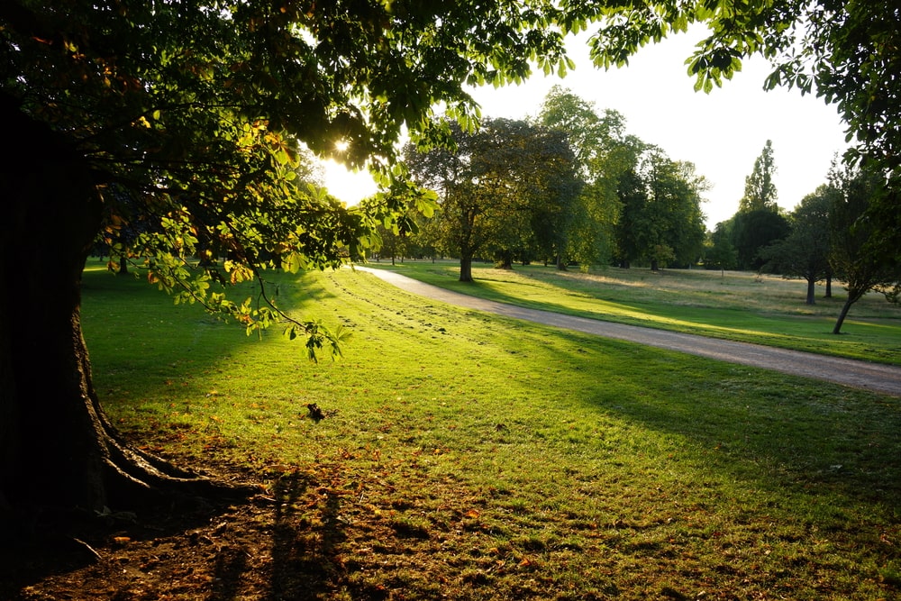 London Parks You have To Visit