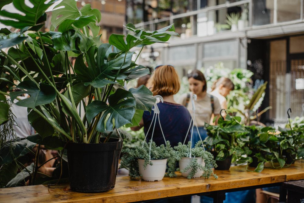 plant shop london