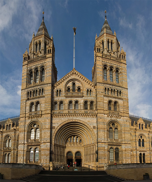 The Natural History Museum